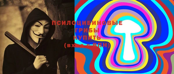бошки Аркадак