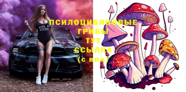 бошки Аркадак