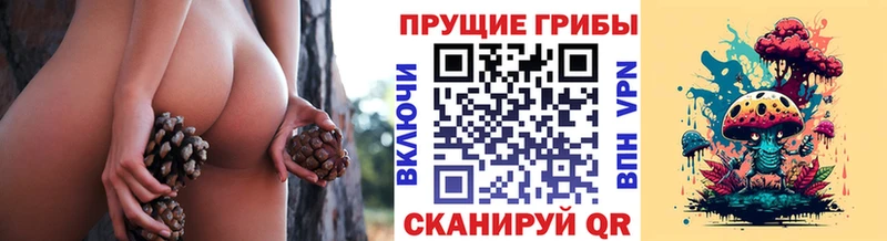 Галлюциногенные грибы ЛСД  Рославль 
